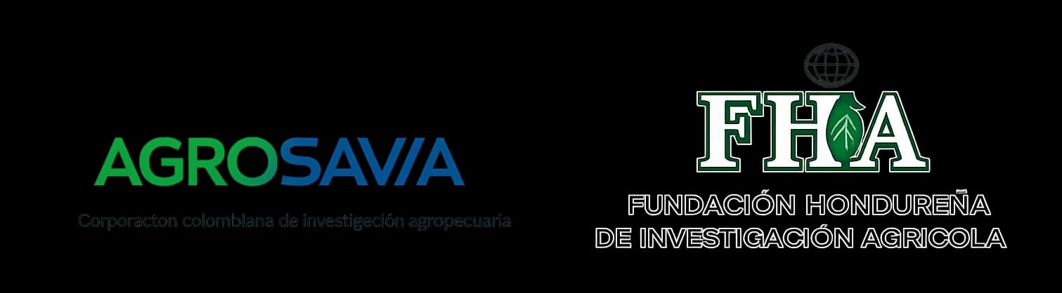 certificaciones internacionales banaril