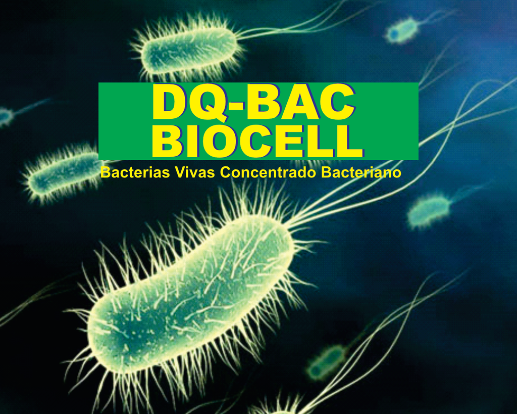 DQ-BAC BIOCELL
